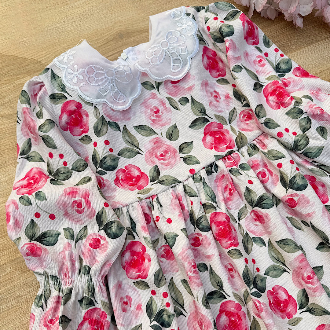 IMG_2026-01-28-161029 blank